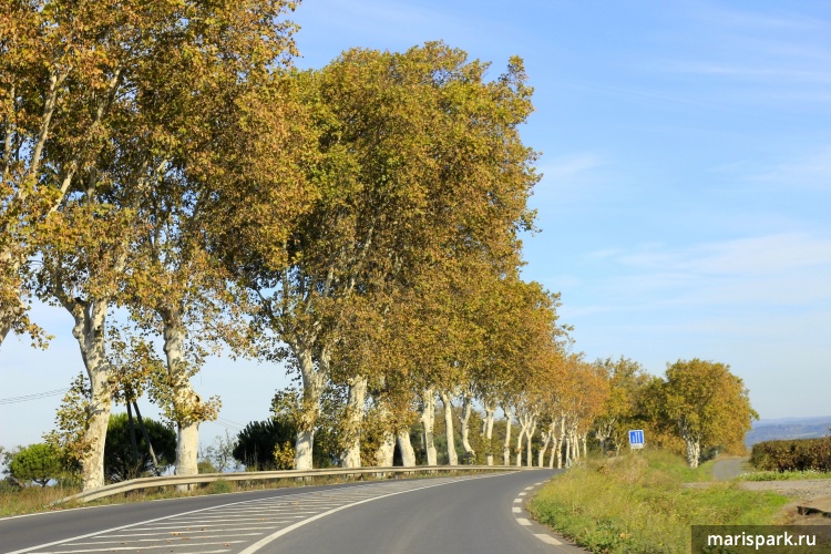 On the way to Nice from Barcelona by car