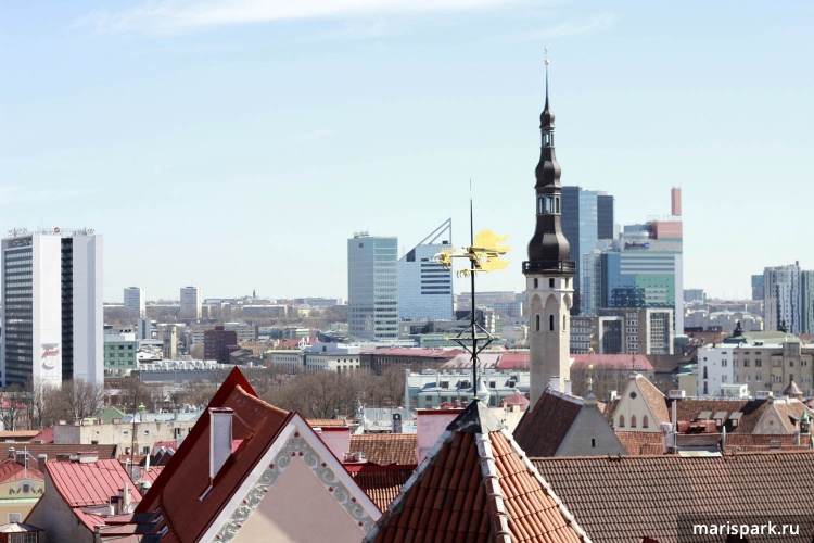 Tallinn