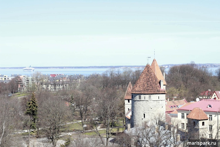 Tallinn