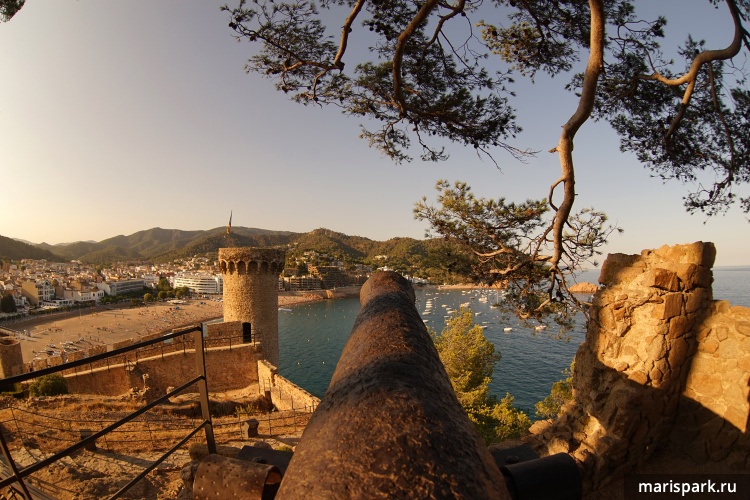 Tossa de mar