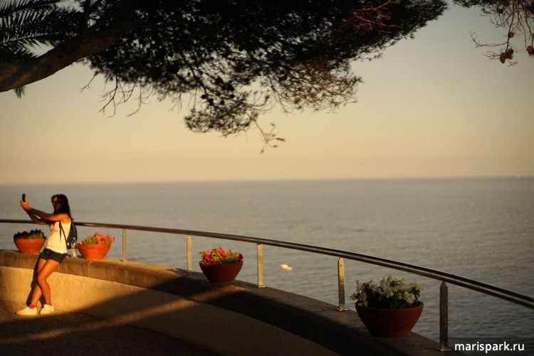 Tossa de mar