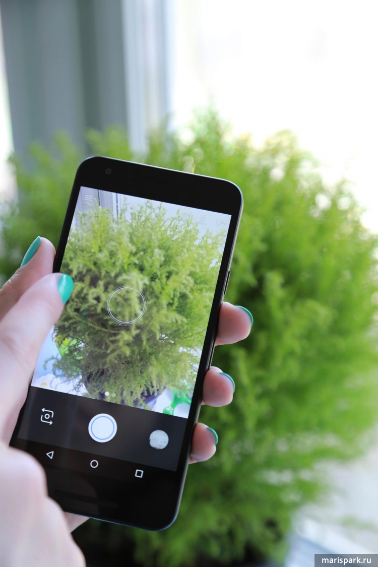 Google Nexus 5X от LG камера