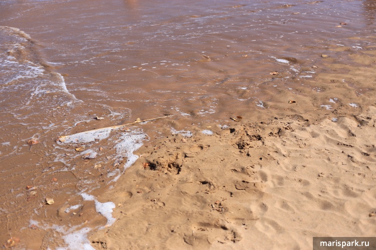 Playa Las Teresitas