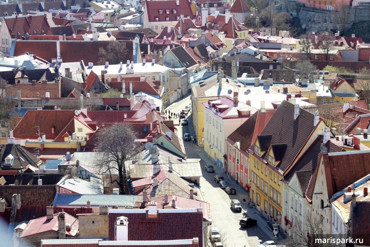 Tallinn
