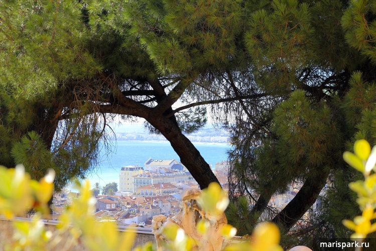 Cote d'Azur