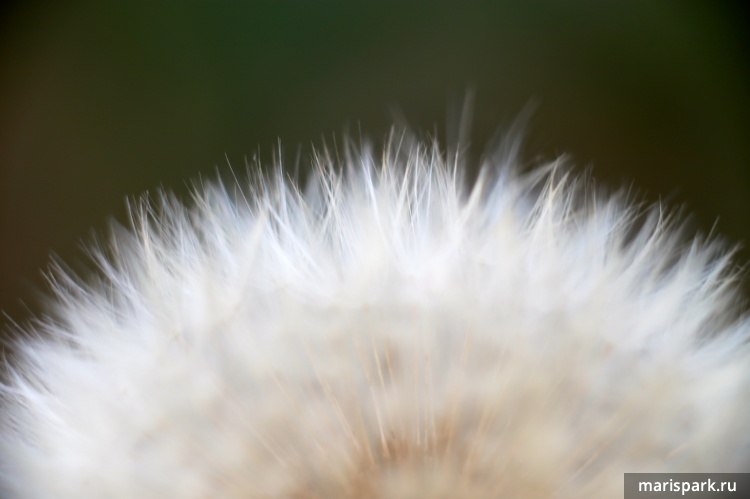 Панагор 90mm/f2.8 Макро