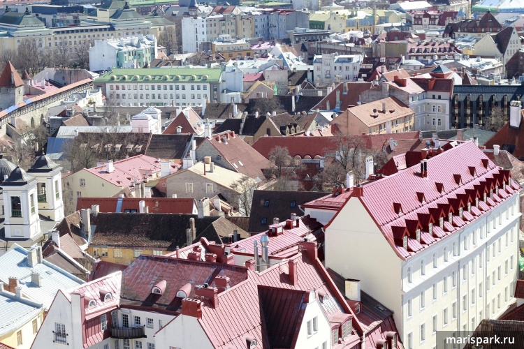 Tallinn