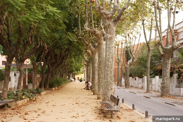 Pineda de mar